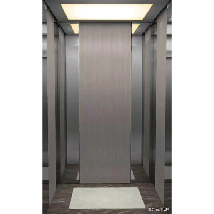 Domestic Passenger Lifts best