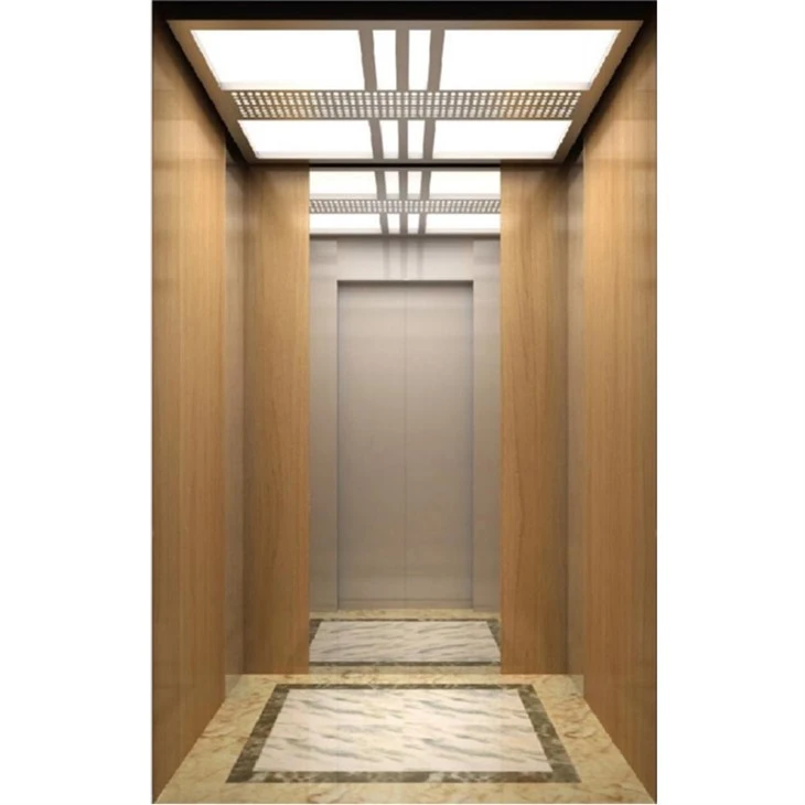 Automatic Passenger Elevator