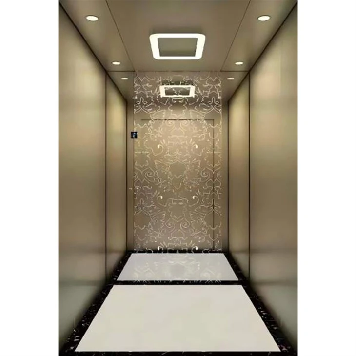 Domestic Passenger Lifts