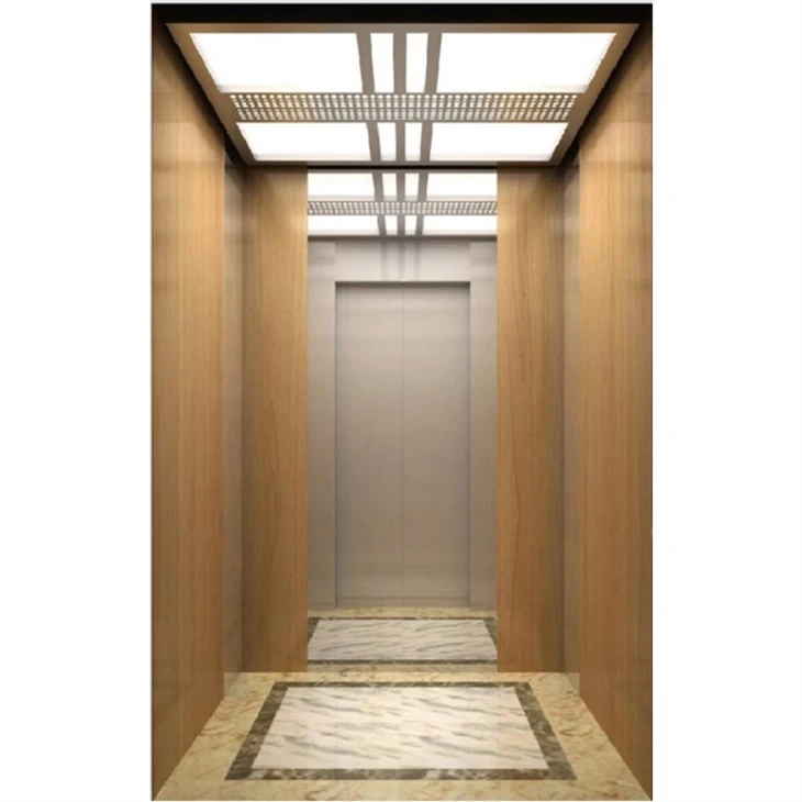 Indoor Residential Elevators