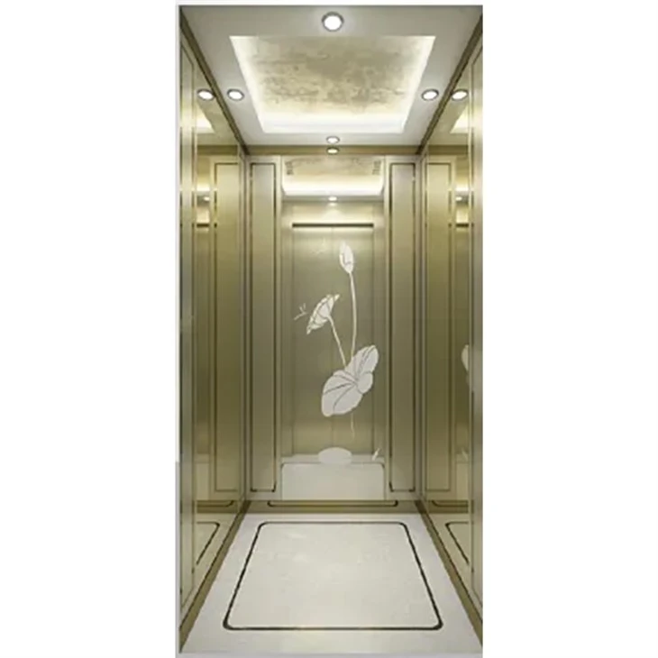 Modern Lifts for Homes