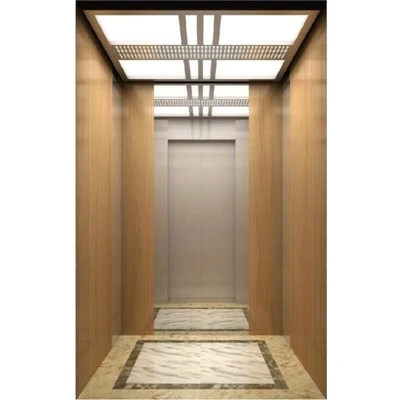 Automatic Passenger Elevator