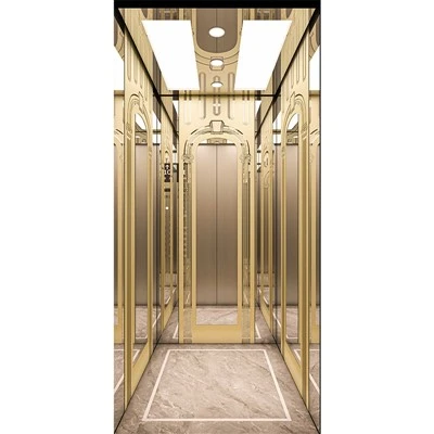 Indoor House Elevator