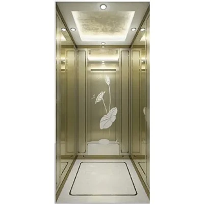 Modern Lifts for Homes