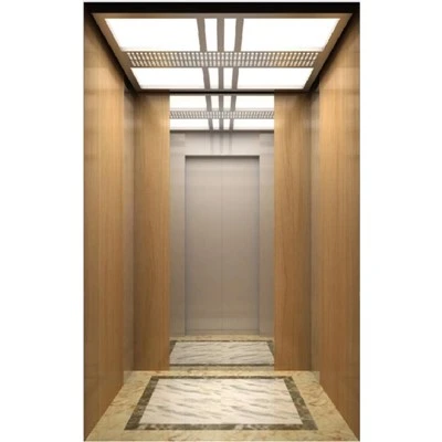 Senior Home Elevator