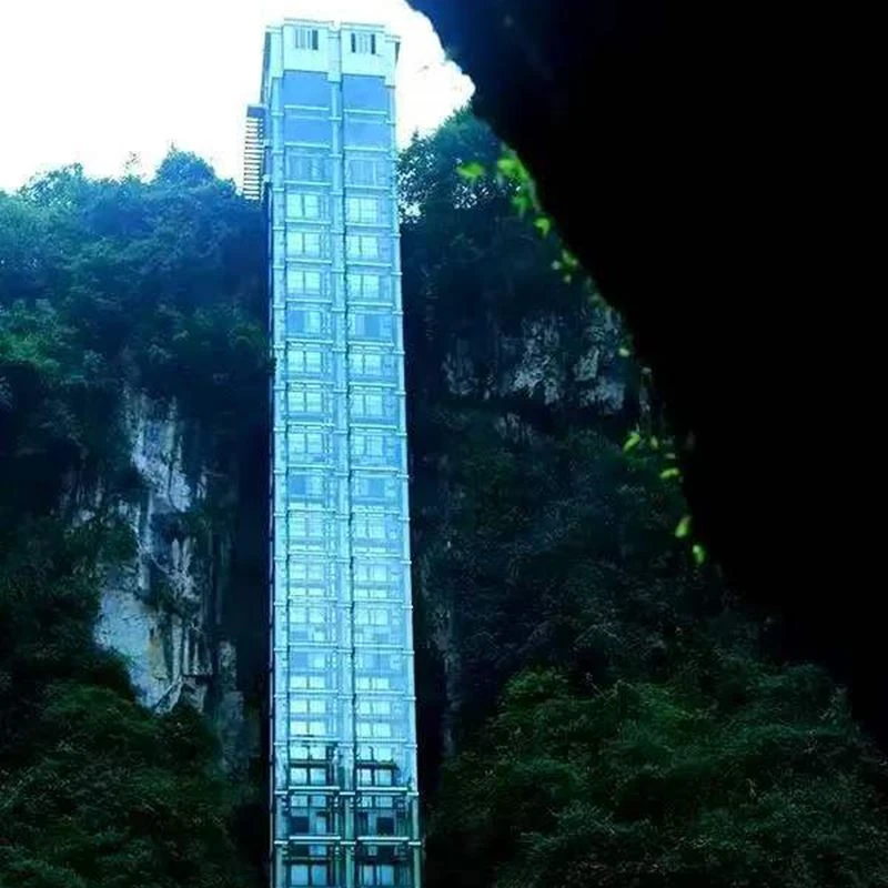 Scenic Elevator Details