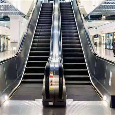 Anti Climb Escalator