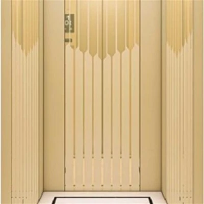 Traction Passenger Elevator