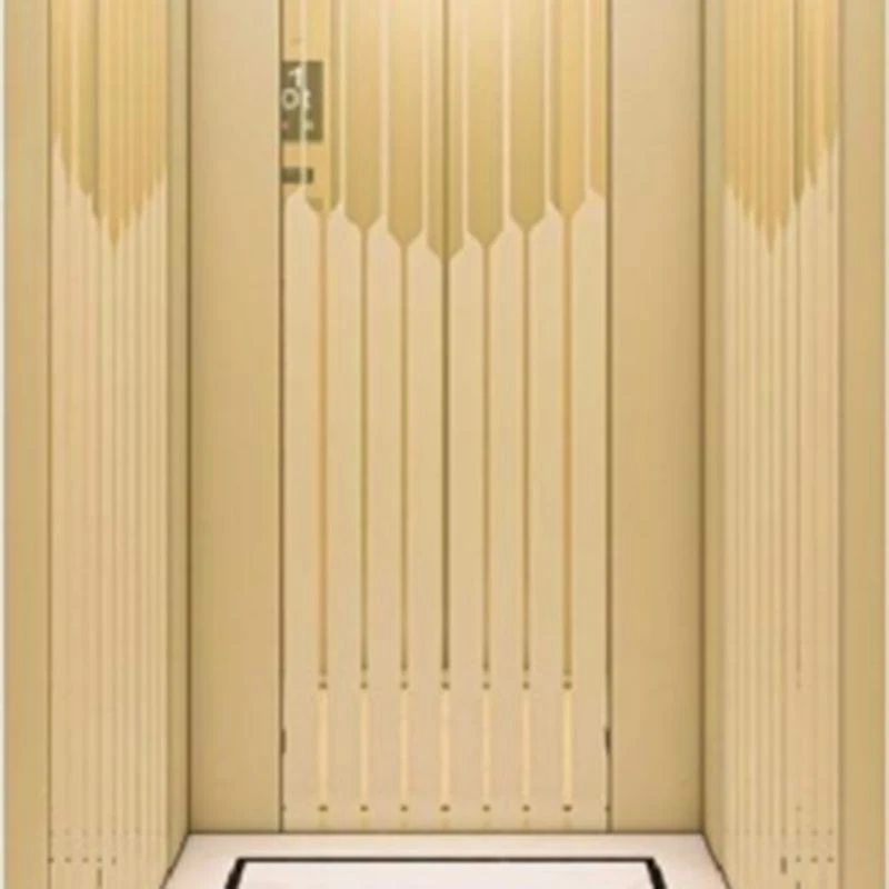 Traction Passenger Elevator